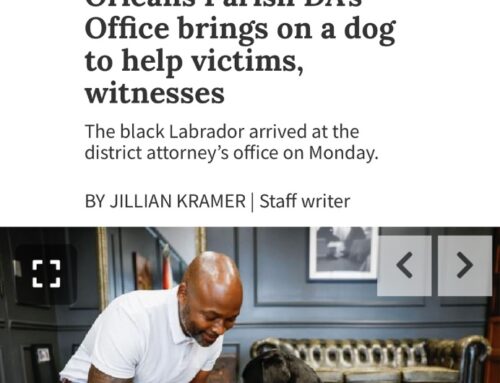 NOLA.COM – Orleans Parish DA’s Office brings on a dog to help victims, witnesses